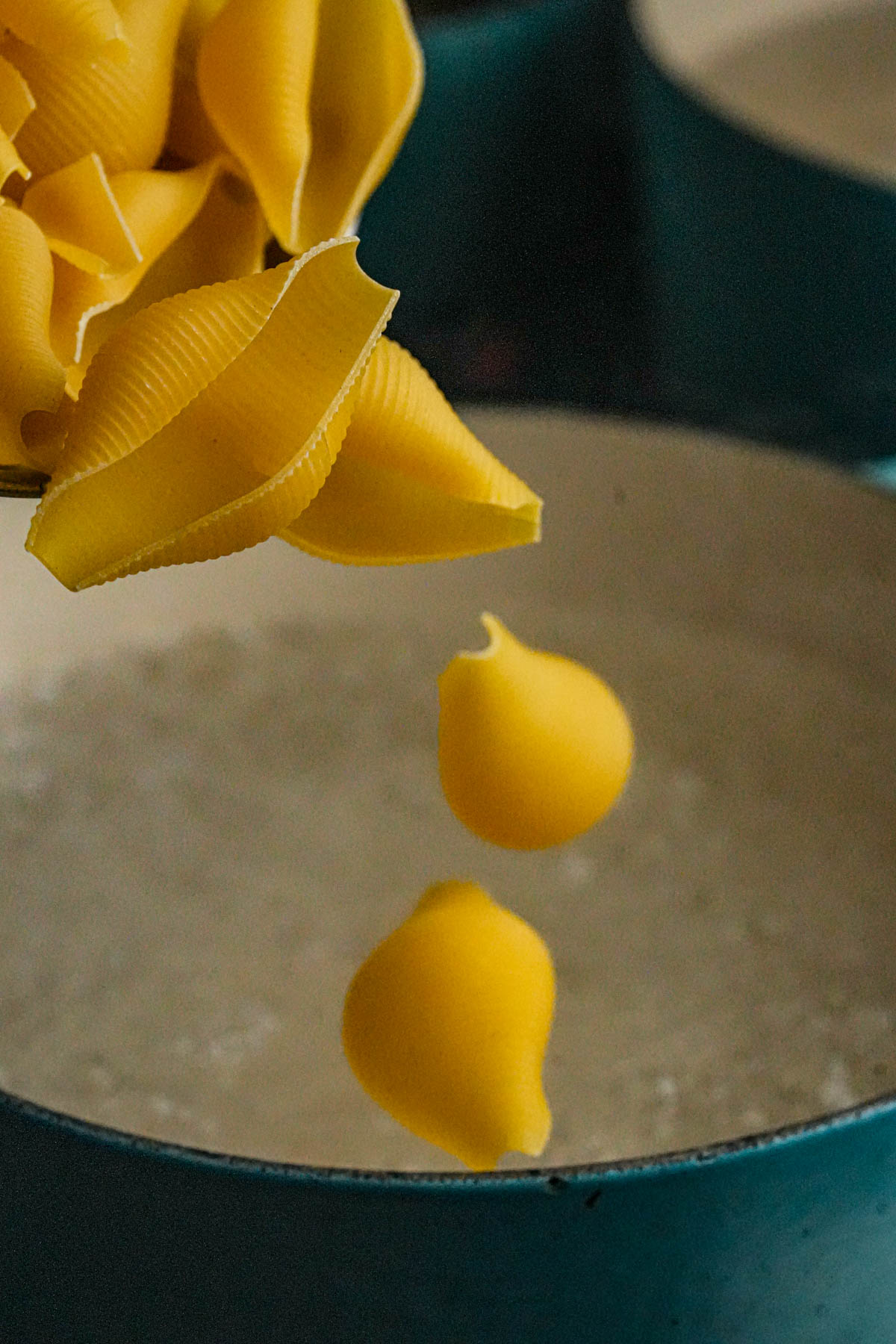 Close-up of large jumbo pasta shells being dropped into a pot of boiling water. Two shells are mid-air above the water, while others are still being held above the pot.